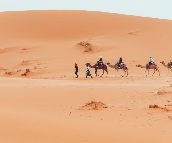 Camel trek with tourists through the sahara desert in Merzouga, Morocco. High quality photo